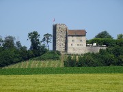342  Habsburg Castle.JPG
